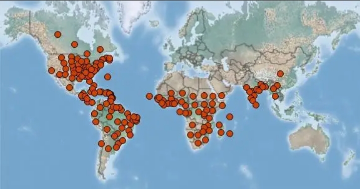 以創新測序技術的名義，透視外來入侵物種