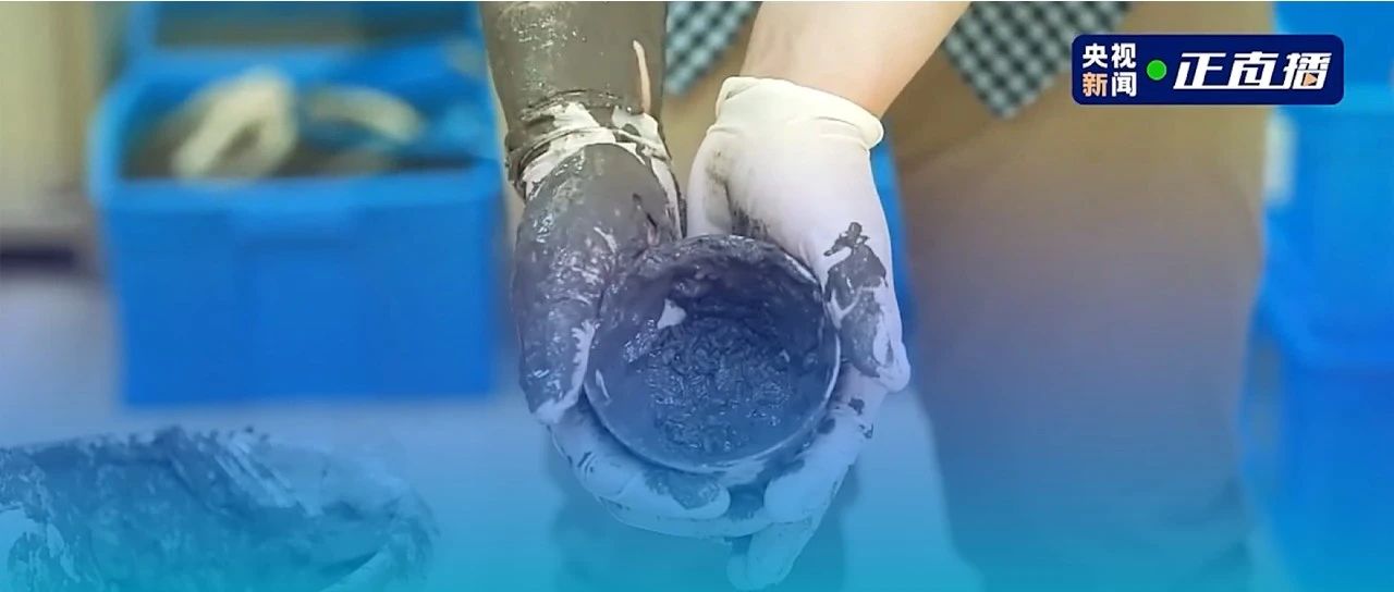 復旦大學副教授文少卿團隊運用古DNA測序技術破譯古代沉船瓷瓶中的稻殼與泥巴基因密碼